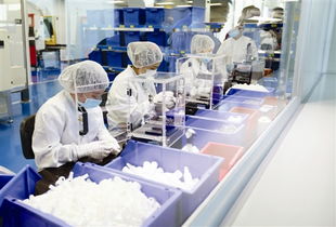 望牛墩每年投千萬助企業(yè)倍增，辦公用品行業(yè)迎發(fā)展新機遇